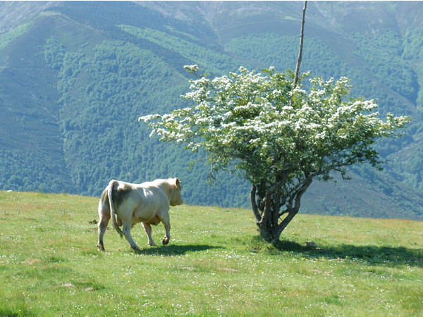 Santurde de Rioja Santurde de Rioja